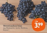 Weintrauben blau im Angebot bei tegut in Stuttgart Weintrauben blau Angebote bei tegut Stuttgart für 3,99 €
