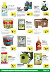 Aktueller Hagebaumarkt Prospekt mit Aquarium, "BLACK WEEK SALE", Seite 12