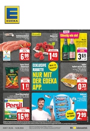 EDEKA Prospekt für Sassenberg: "Aktuelle Angebote", 24 Seiten, 09.09.2024 - 14.09.2024