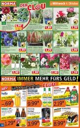 Dusche Angebot & Preis im aktuellen Norma Prospekt Dusche Angebot im aktuellen Norma Prospekt auf Seite 12