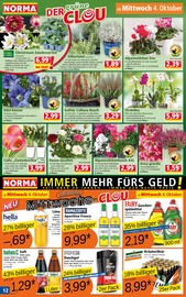 Blumen Angebote im Prospekt "Mehr fürs Geld" von Norma auf Seite 12