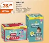 Windeln Baby-dry oder Pants Angebote von PAMPERS bei Müller Straubing für 28,99 €