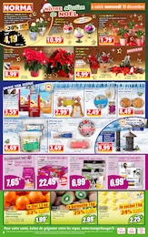 Offre Croquettes Chat dans le catalogue Norma du moment à la page 4