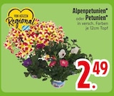 Alpenpetunien Angebote bei EDEKA Passau für 2,49 €