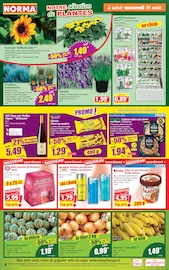 Promos Vin dans le catalogue "Votre Discounter Régional" de Norma Vin en promo dans le catalogue Norma à la page 4
