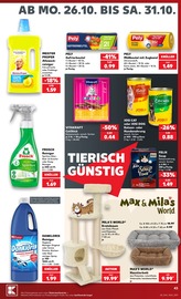 Kratzbaum im Kaufland Prospekt in Neu-Ulm Aktueller Kaufland Prospekt mit Kratzbaum, "Hier bin ich richtig", Seite 47