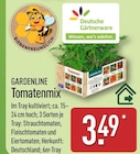 Tomatenmix von GARDENLINE für 3,49 € bei ALDI Nord im Angebot Tomatenmix von GARDENLINE im aktuellen ALDI Nord Prospekt