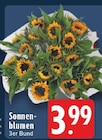 Aktuelle Pflanzen Angebote bei EDEKA in Osnabrück Aktuelles Sonnenblumen Angebot bei EDEKA in Osnabrück ab 3,99 €