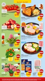 Schweinebraten im Penny Prospekt in Bensheim Aktueller Penny Prospekt mit Schweinebraten, "Wer günstig will, muss Penny.", Seite 28