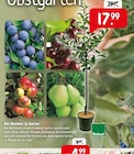 Aktuelles Bio Obstmix in Sorten Angebot bei Raiffeisenmarkt in Osnabrück ab 17,99 €