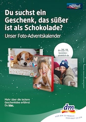 Aktueller dm-drogerie markt Prospekt mit Adventskalender, "Fröhliche Vorweihnachten", Seite 2