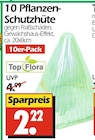 10 Pflanzen- Schutzhüte bei Wreesmann im Prospekt "" für 222,00 €