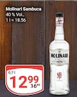 Sambuca im Angebot bei GLOBUS in Gera Sambuca Angebote von Molinari bei GLOBUS Gera für 12,99 €