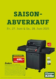 Pflanzen Kölle Prospekt für Gröbenzell mit 2 Seiten Pflanzen Kölle Prospekt für Gröbenzell: "SAISON ABVERKAUF", 2 Seiten, 27.06.2025 - 28.06.2025