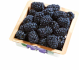 Brombeeren Angebote von Driscoll's bei Netto Marken-Discount Trier für 1,99 €