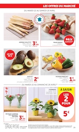 Plante Verte en promo dans le catalogue Super U à la page 29