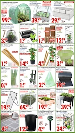 Aktueller Wreesmann Prospekt mit Holz, "DEIN SAISON- & SONDERPOSTENMARKT!", Seite 4