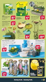 Gartenstecker Angebote im Prospekt "Günstig. Besser. Für Dich." von Netto mit dem Scottie auf Seite 21