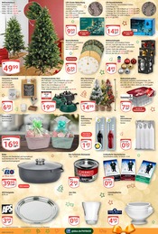 Aktueller GLOBUS Prospekt mit Weihnachtsbaumständer, "Aktuelle Angebote", Seite 21