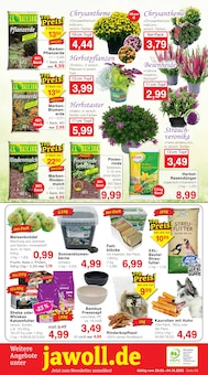 Sonnenblumenkerne Angebot im aktuellen Jawoll Prospekt auf Seite 12