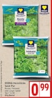 Rucola Salat Pur bei EDEKA im Falkensee Prospekt für 0,99 €