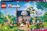 LEGO® Friends 42669 La maison des apiculteurs et le jardin fleuri - LEGO FRIENDS dans le catalogue Fnac