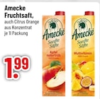 Saft im Trinkgut Prospekt Apfel naturtrüb von Amecke im aktuellen Trinkgut Prospekt für 1,99 €