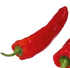 Aktuelles Bio Spitz-Paprika "rot" Angebot bei E center in Münster ab 2,22 €