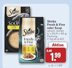 Fresh & Fine Angebote von Sheba bei combi Detmold für 1,99 €