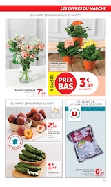 Promos Fleurs dans le catalogue "SUPER U" de Super U Fleurs en promo dans le catalogue Super U à la page 29