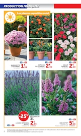 Promos Fleurs dans le catalogue "SUPER U" de Super U Fleurs en promo dans le catalogue Super U à la page 2