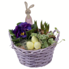 Bepflanzte Gefäße Korb „Ostergruß“ Angebote bei toom Baumarkt Frankfurt für 12,99 €