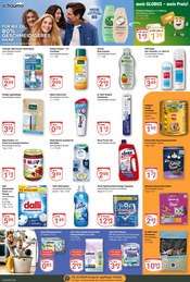 Aktueller GLOBUS Prospekt mit Shampoo, "Aktuelle Angebote", Seite 17