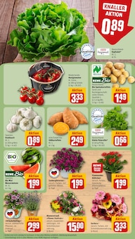 Tomaten im aktuellen REWE Prospekt (Nürnberg) Tomaten im REWE Prospekt "Dein Markt" mit 18 Seiten (Nürnberg)