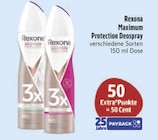 Maximum Protection Deospray im Angebot bei E center in Jena Maximum Protection Deospray Angebote von Rexona bei E center Jena