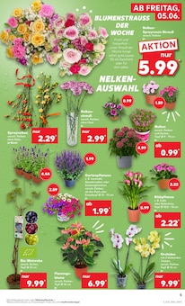 Pflanzen im Kaufland Prospekt "Hier bin ich richtig" mit 62 Seiten (Krefeld)
