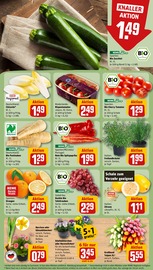 Zucchini im REWE Prospekt in Saarbrücken Aktueller REWE Prospekt mit Zucchini, "Dein Markt", Seite 9