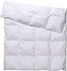 Couette en duvet Premium 240 x 220 cm - LIVERNO HOME - Lidl à Caluire-et-Cuire Couette en duvet Premium 240 x 220 cm - LIVERNO HOME en promo chez Lidl Caluire-et-Cuire à 59,99 €