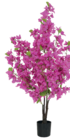 Bougainvillier 483 fleurs H.120cm dans le catalogue Maxi Bazar