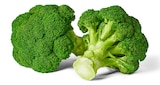 Broccoli im aktuellen Prospekt bei Penny in Stetten
