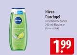 famila Nordost Falkensee Prospekt mit  im Angebot für 1,99 €
