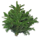 Schnittgrün Angebot in Rheinberg Schnittgrün im aktuellen Prospekt bei Hagebaumarkt in Rheinberg