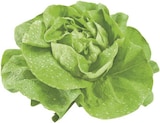 Kopfsalat bei combi im Glandorf Prospekt für 0,88 €