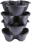 Aktuelle Blumentopf Angebote bei Penny in Rostock Aktuelles Pflanztopf RESPANA Angebot bei Penny in Rostock ab 8,00 €