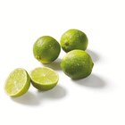 Bio Limetten Angebot in Teisendorf Bio Limetten im aktuellen Prospekt bei Lidl in Teisendorf