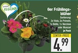 Aktuelles 6er Frühlingsblüher Angebot bei EDEKA in München ab 4,99 €