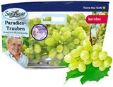 REWE Dußlingen - Paradies-Trauben kernlos Angebot im Prospekt Paradies-Trauben kernlos bei REWE im Dußlingen Prospekt für 2,99 €