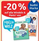 20% Rabatt Angebote von Hallo Welt bei budni Lüneburg