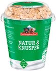 Natur & Knusper Joghurt Angebote von Berchtesgadener Land bei REWE Bamberg für 0,59 €