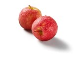 Apfel pink im Angebot bei Lidl in Lutherstadt Wittenberg Apfel pink Angebote von Pink Lady bei Lidl Lutherstadt Wittenberg für 2,29 €
